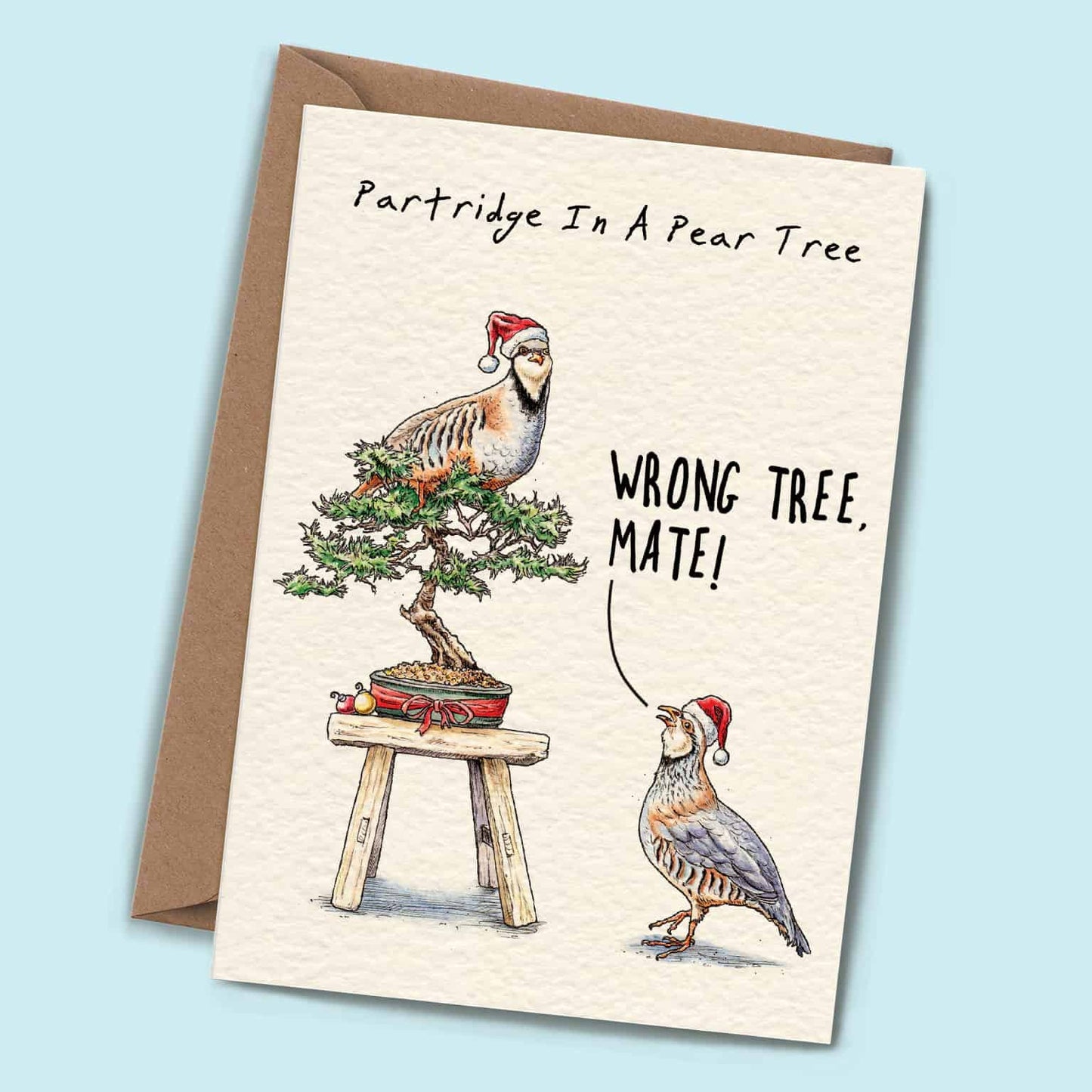 Partridge Christmas Card - Holiday Card - Christmas Card