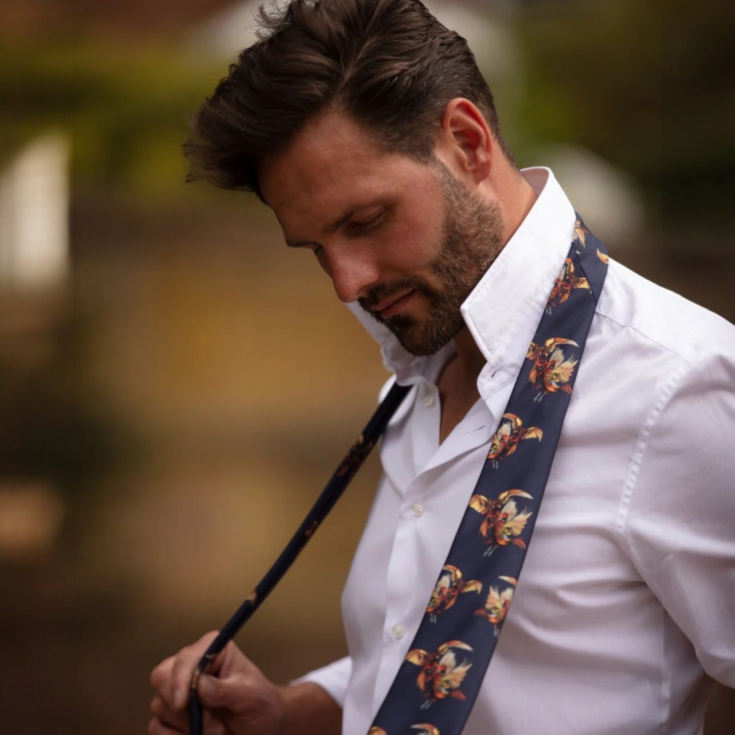 Clare Haggas Spur Of The Moment (Pheasant) Navy Silk Tie