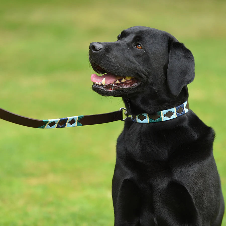 Pioneros Dog Lead Green/Pale Blue/Navy/Cream Stripe 2