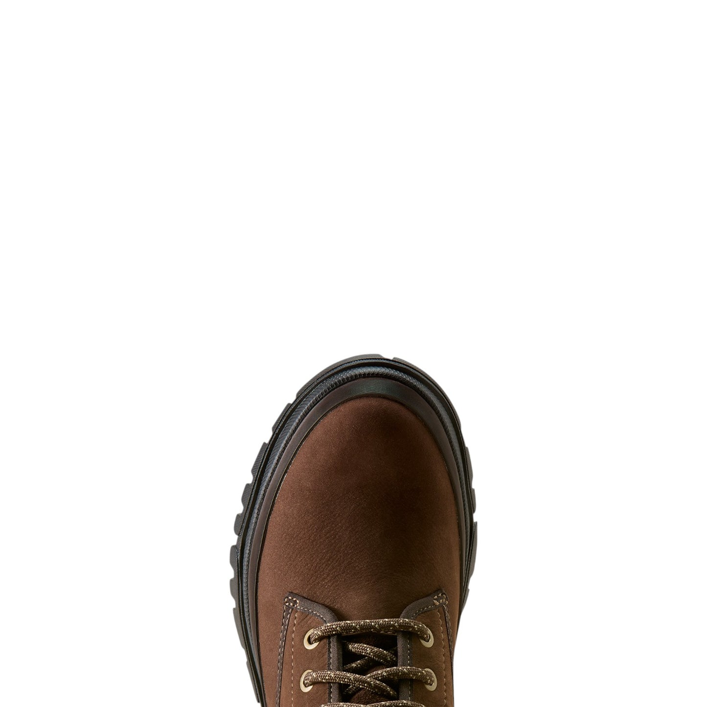 Ariat Moresby H20 Chocolate