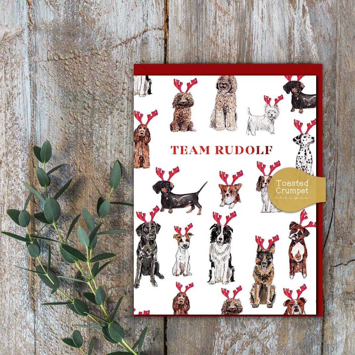 Team Rudolf (Dogs Pure) Card