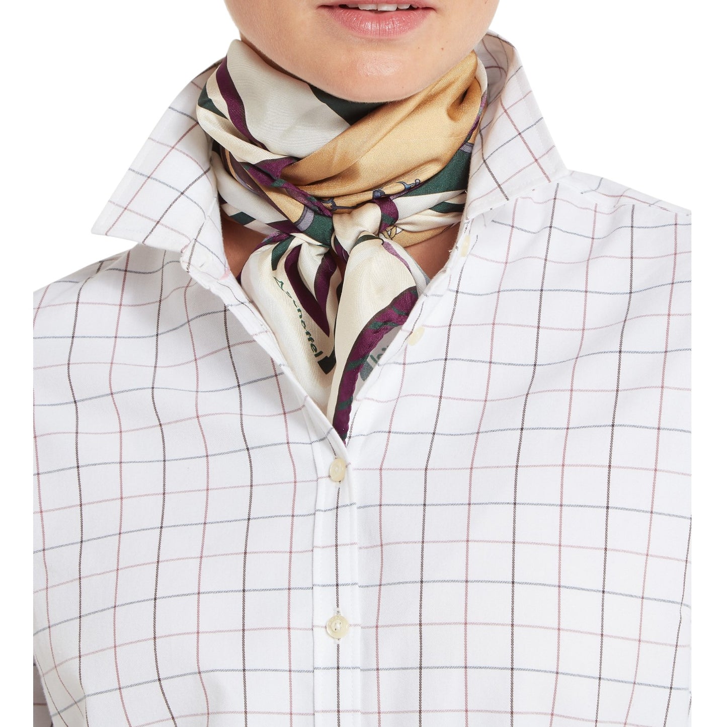 Person wearing a patterned scarf around their neck with a checkered shirt and vest.