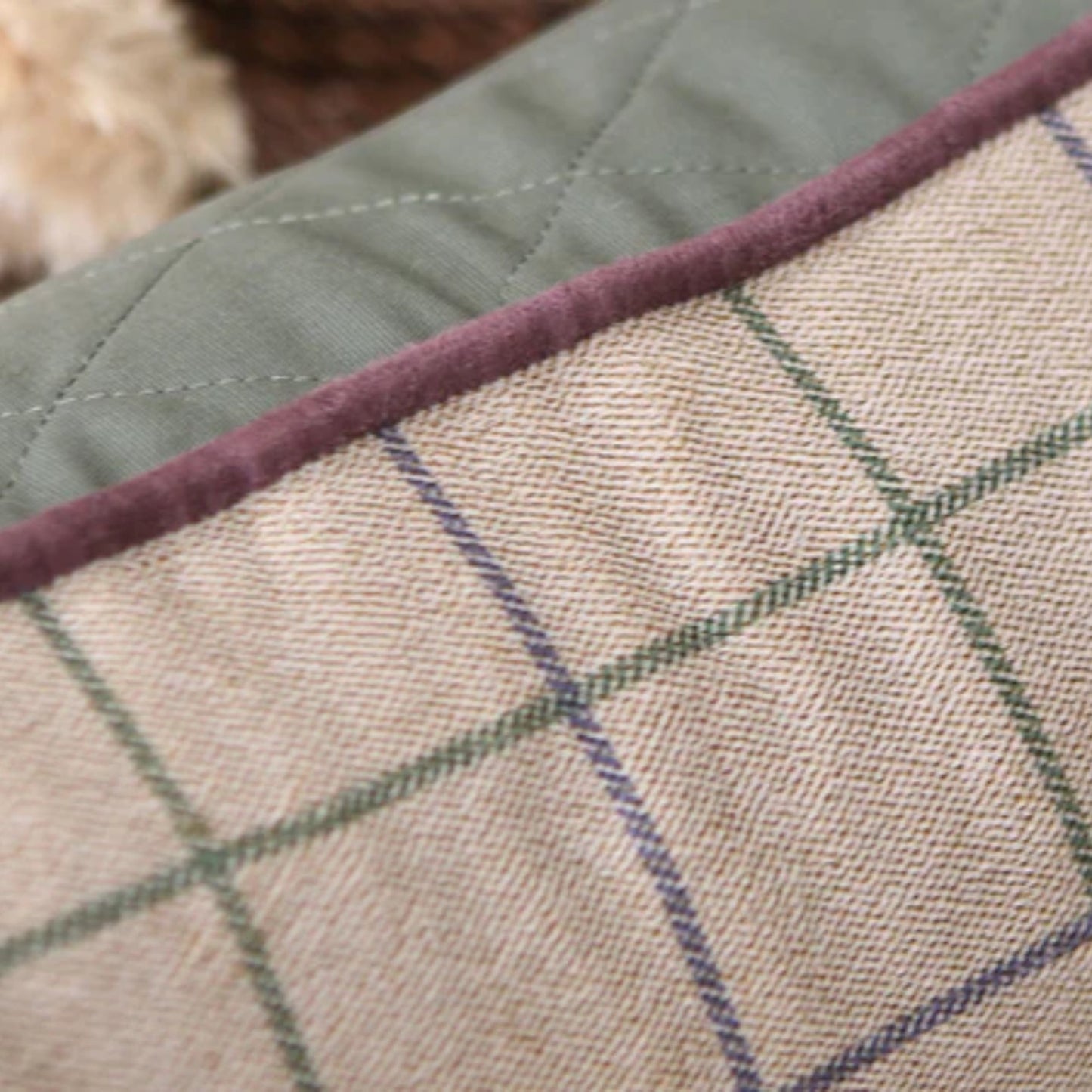 George Barclay Orthopaedic Box Bed Small