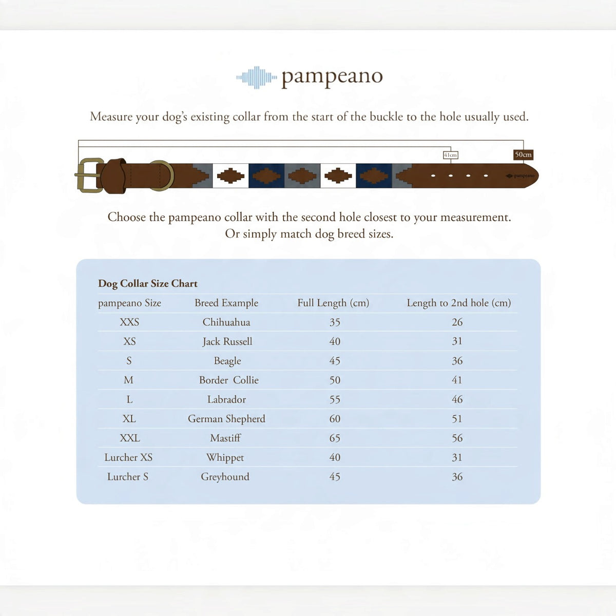 Pampeano Pampa Dog Collar Petalo