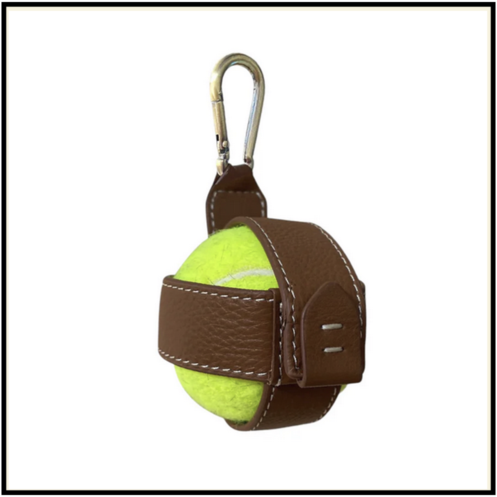 Dog Toys & Accessories