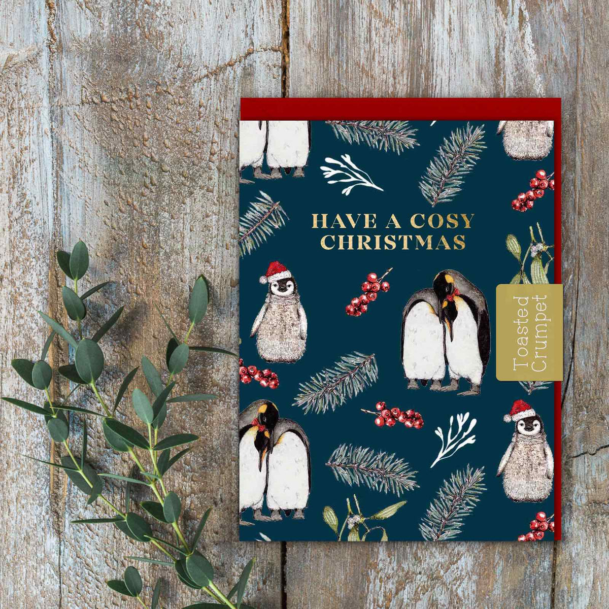 Have a Cosy Christmas (Christmas Penguins) Card
