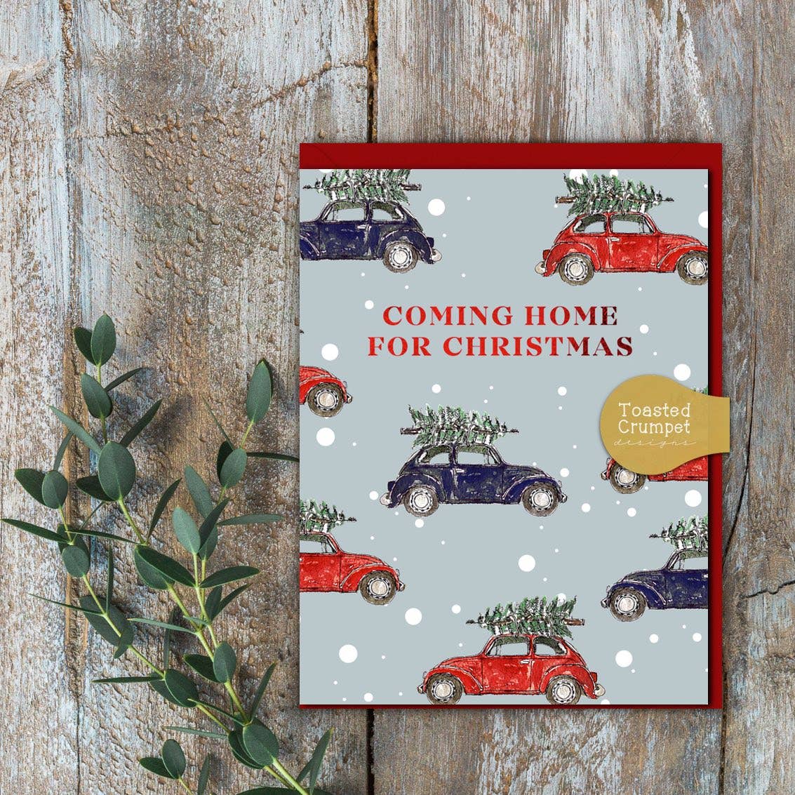 Coming Home For Christmas Card