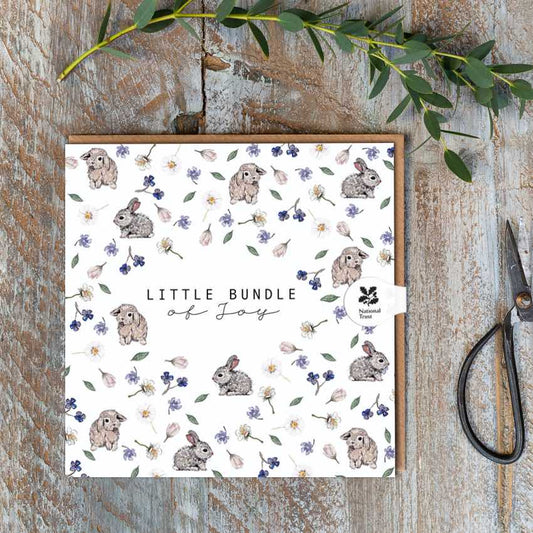 Little Bundle of Joy (Bunnies Pure) Card