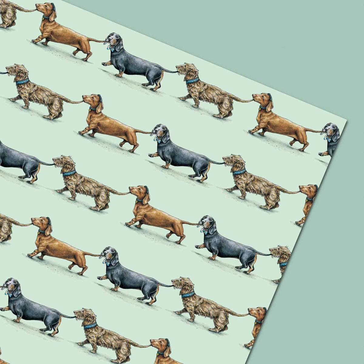 String of Sausage Dogs Gift Wrap