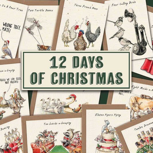 12 Days Of Christmas Card Set - Holiday Cards - Christmas