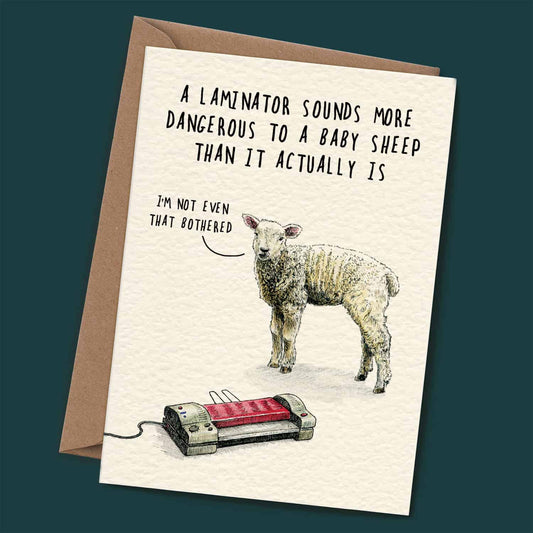 Laminator Card - Everyday Card: 5" x 7"