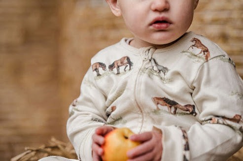 Sew Aneira Pony Print Organic Cotton Sleepsuit