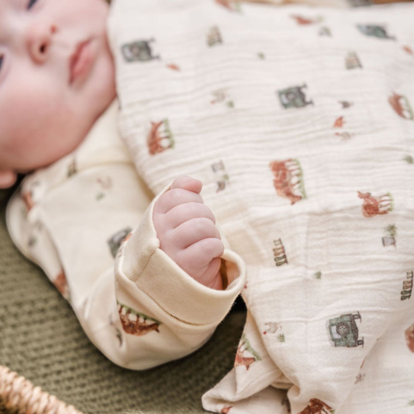 Sew Aneira 4 x 4 Cow Print Organic Cotton Muslin