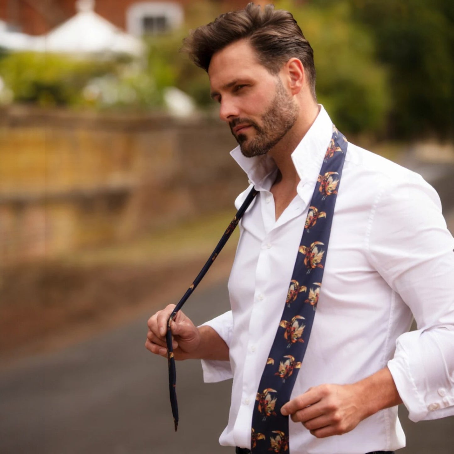 Clare Haggas Spur Of The Moment (Pheasant) Navy Silk Tie
