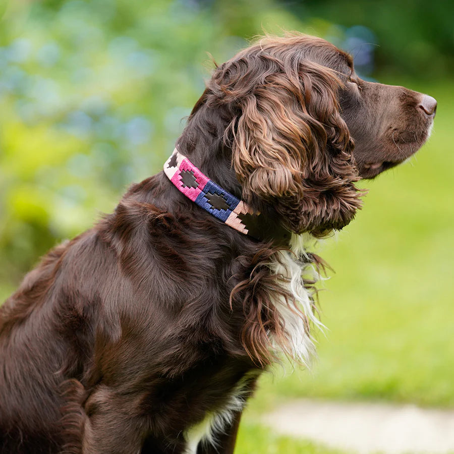 Pioneros Dog Collar - 755 Berry/Navy/Pink