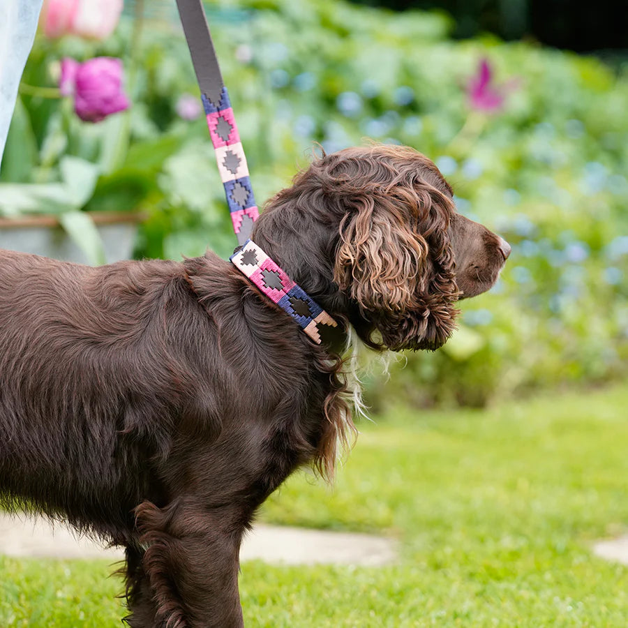 Pioneros Dog Lead - 855 Berry/Navy/Pink