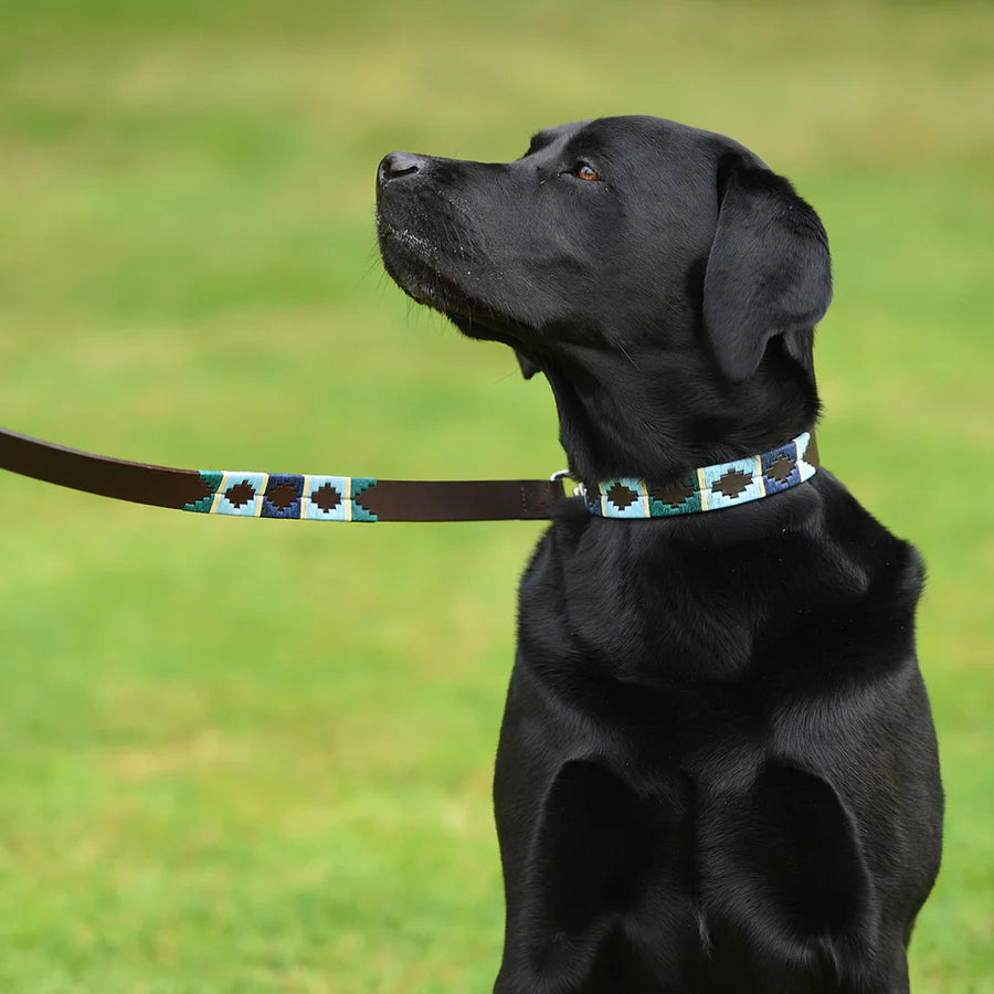 Pioneros Dog Collar - 756 Green/Pale Blue/Navy/Cream Stripe