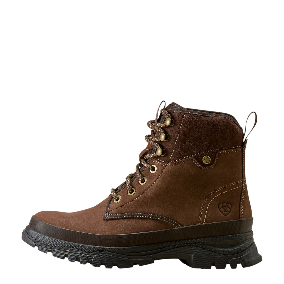 Ariat Moresby H20 Chocolate