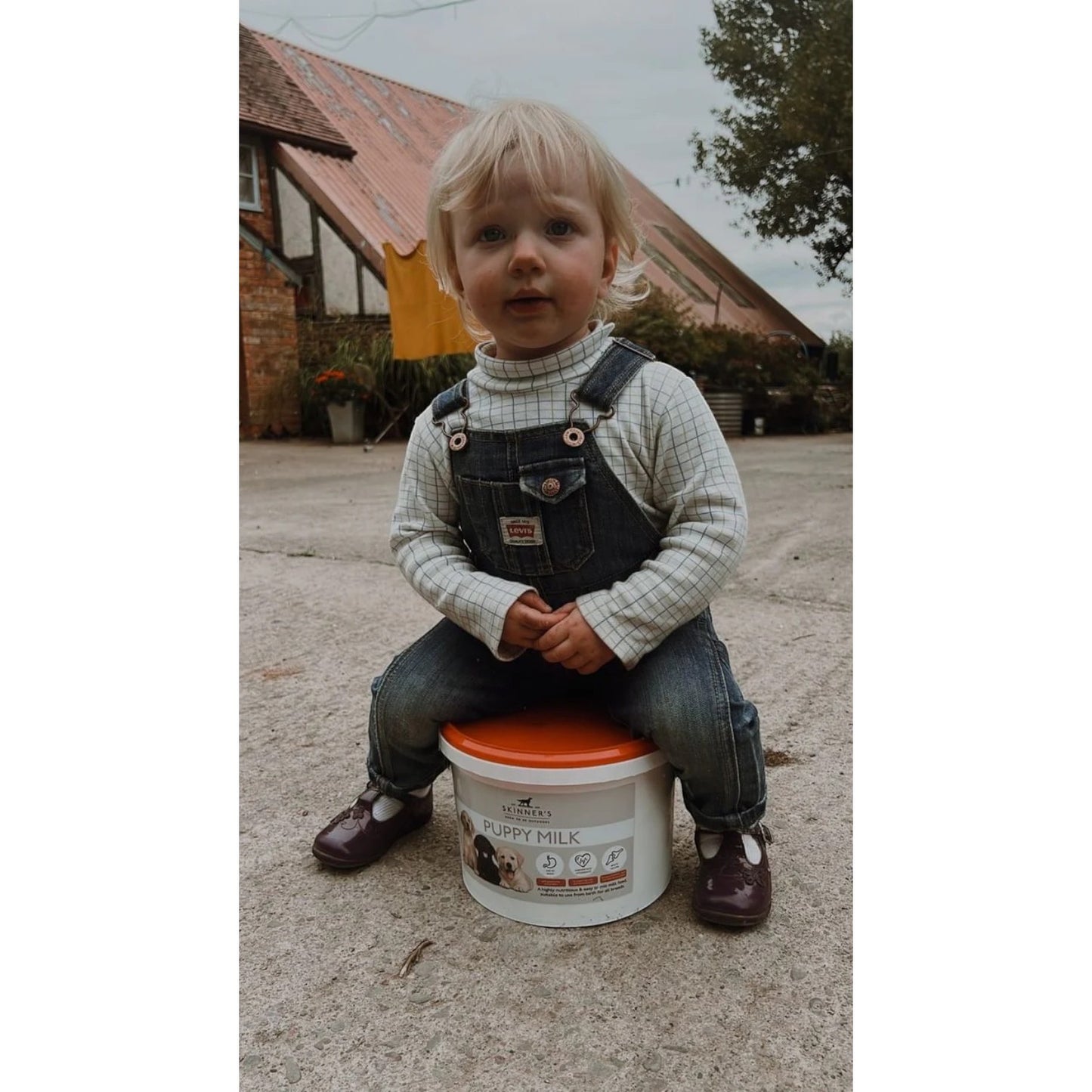 The Little Stamford Co. Tattersall Roll Neck Body Suit / Top - Green