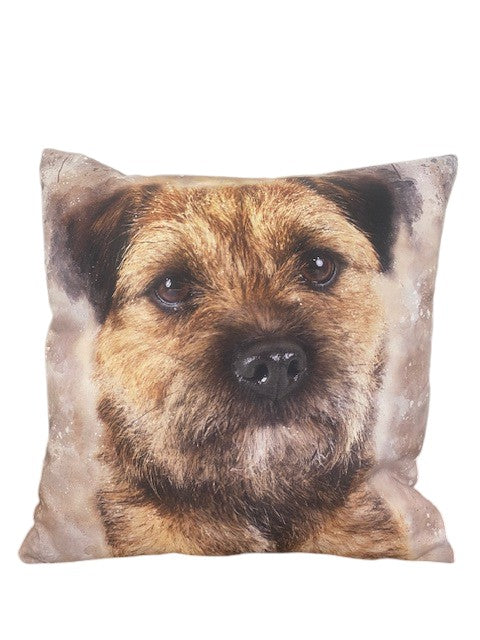 Lorna Jane Border Terrier Cushion