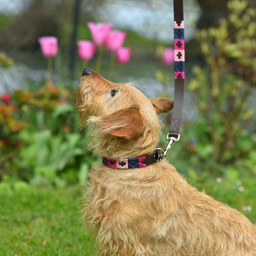 Pioneros Dog Lead - 855 Berry/Navy/Pink