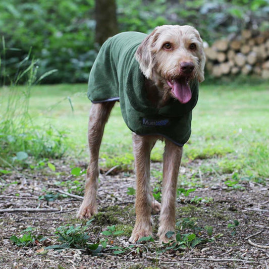 George Barclay Drying Dog Jacket