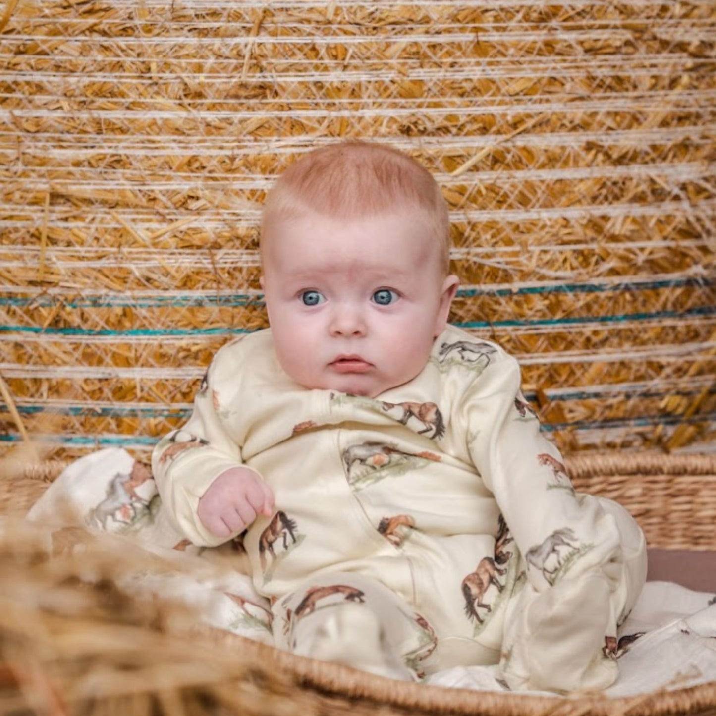 Sew Aneira Pony Print Organic Cotton Sleepsuit