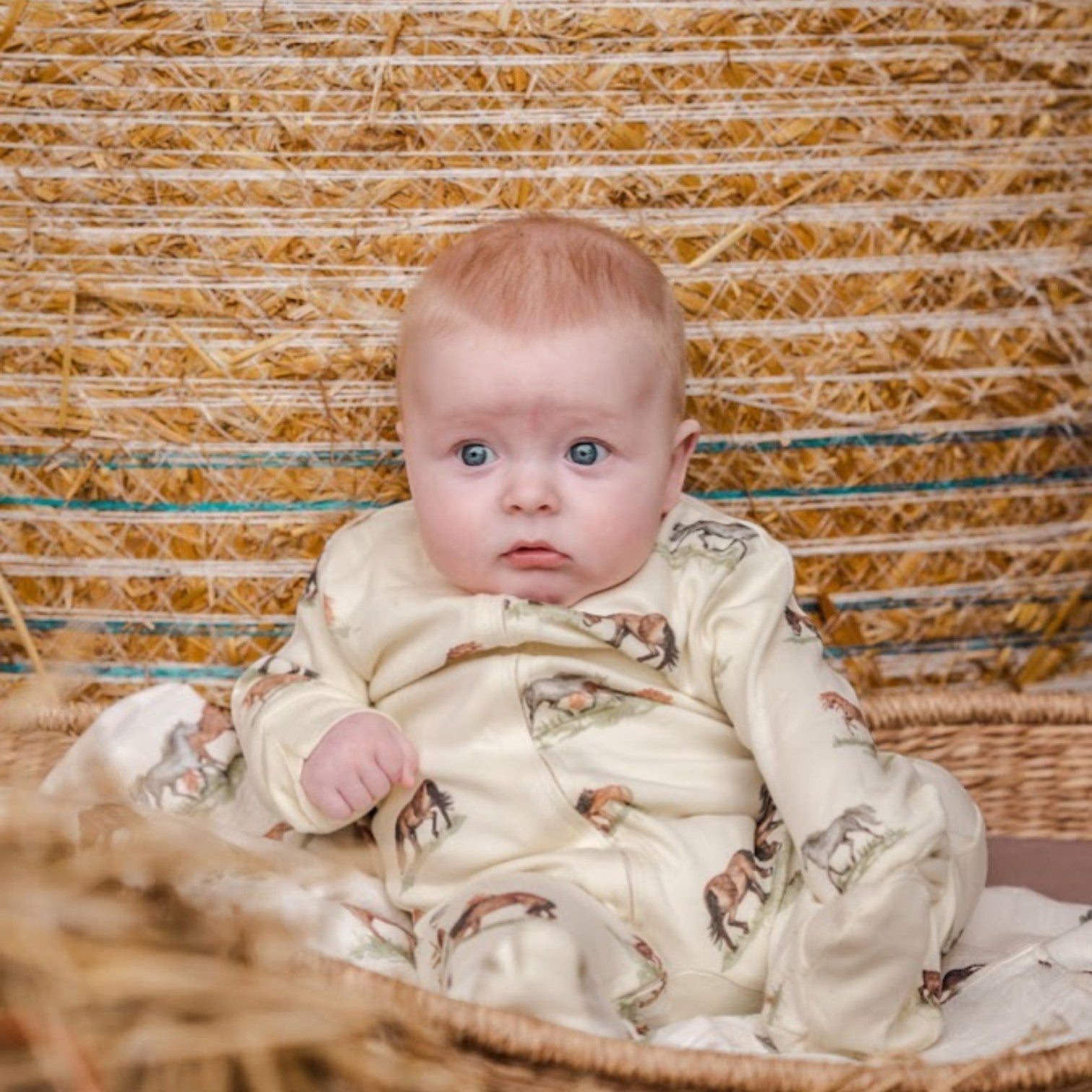 Sew Aneira Pony Print Organic Cotton Sleepsuit