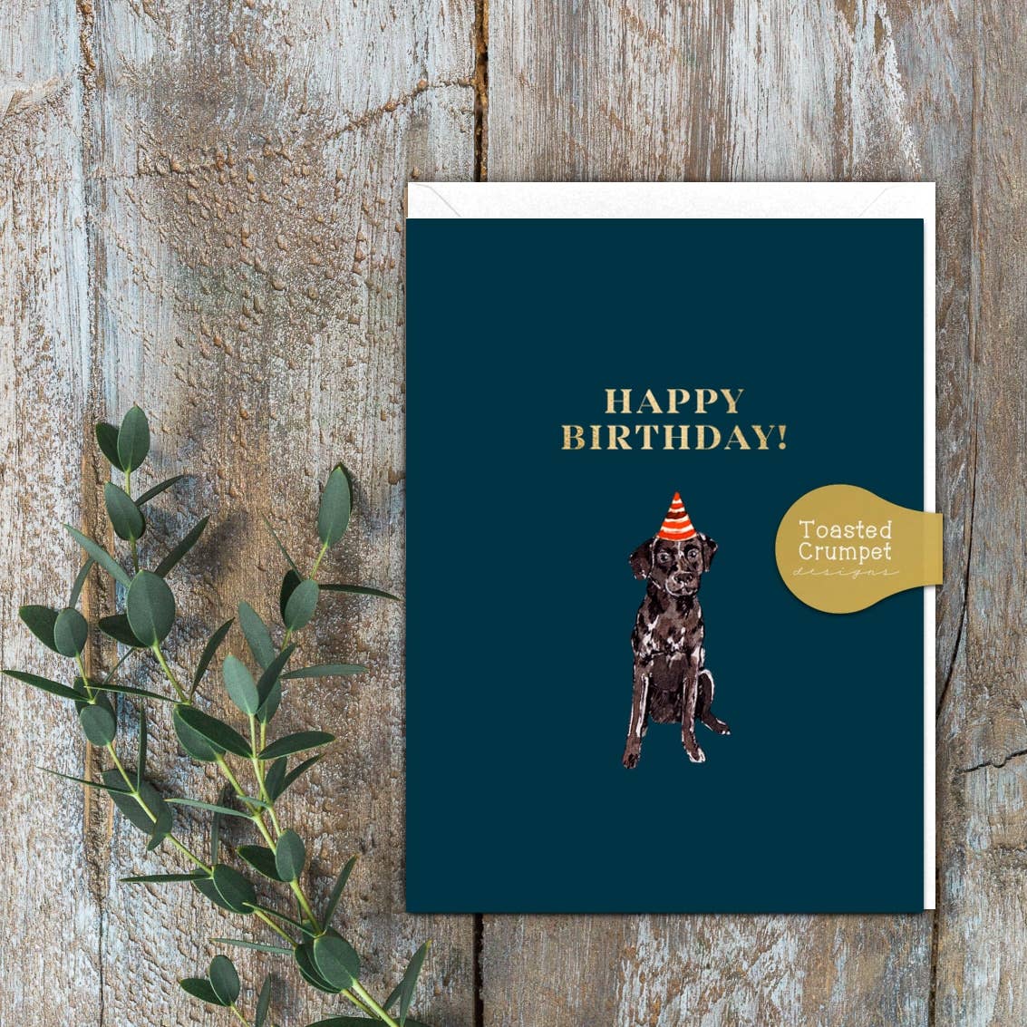 Happy Birthday (Labrador) Card (Cello-Free)