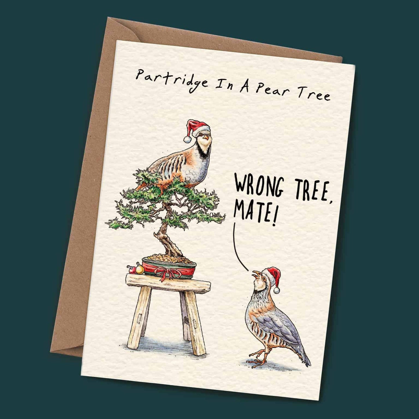 Partridge Christmas Card - Holiday Card - Christmas Card