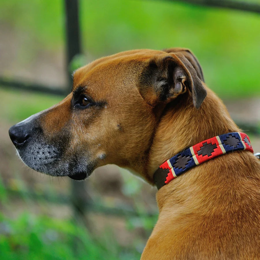 Pioneros Dog Collar - 733 Red/Navy/Cream Stripe