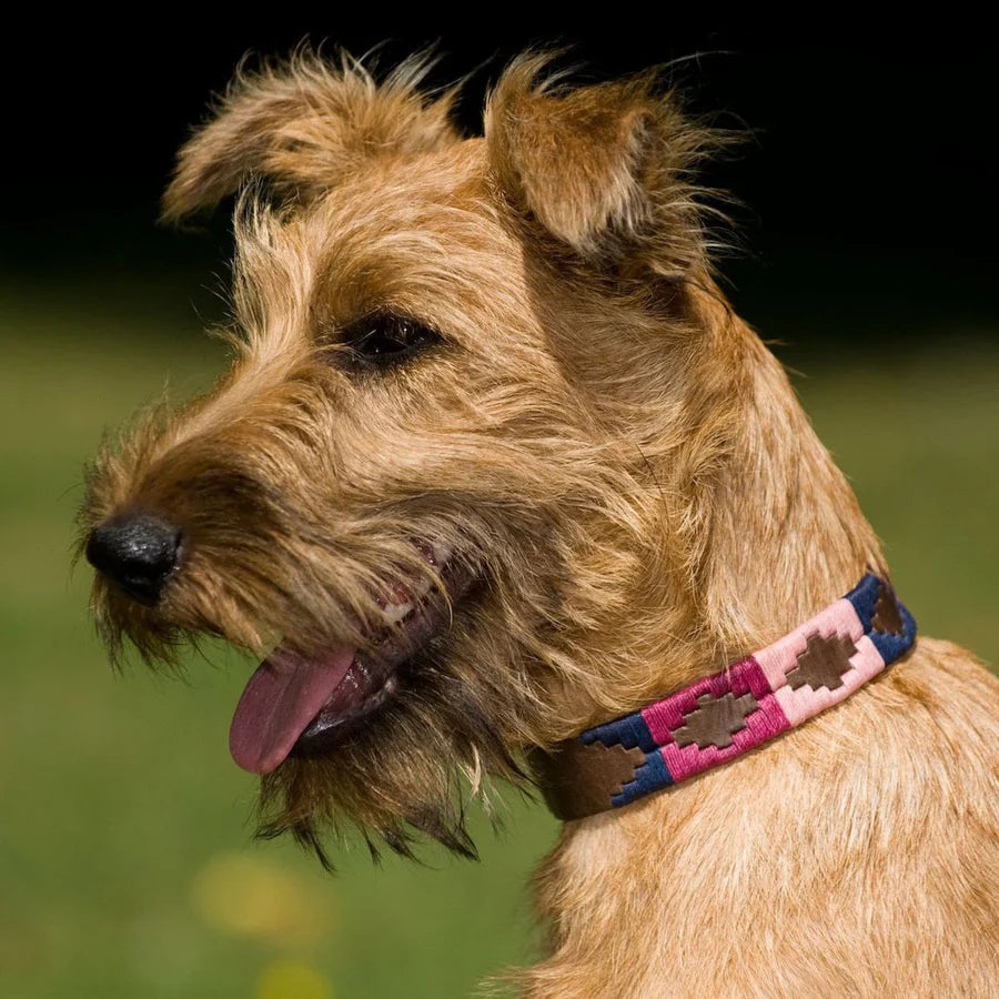 Pioneros Dog Collar - 755 Berry/Navy/Pink