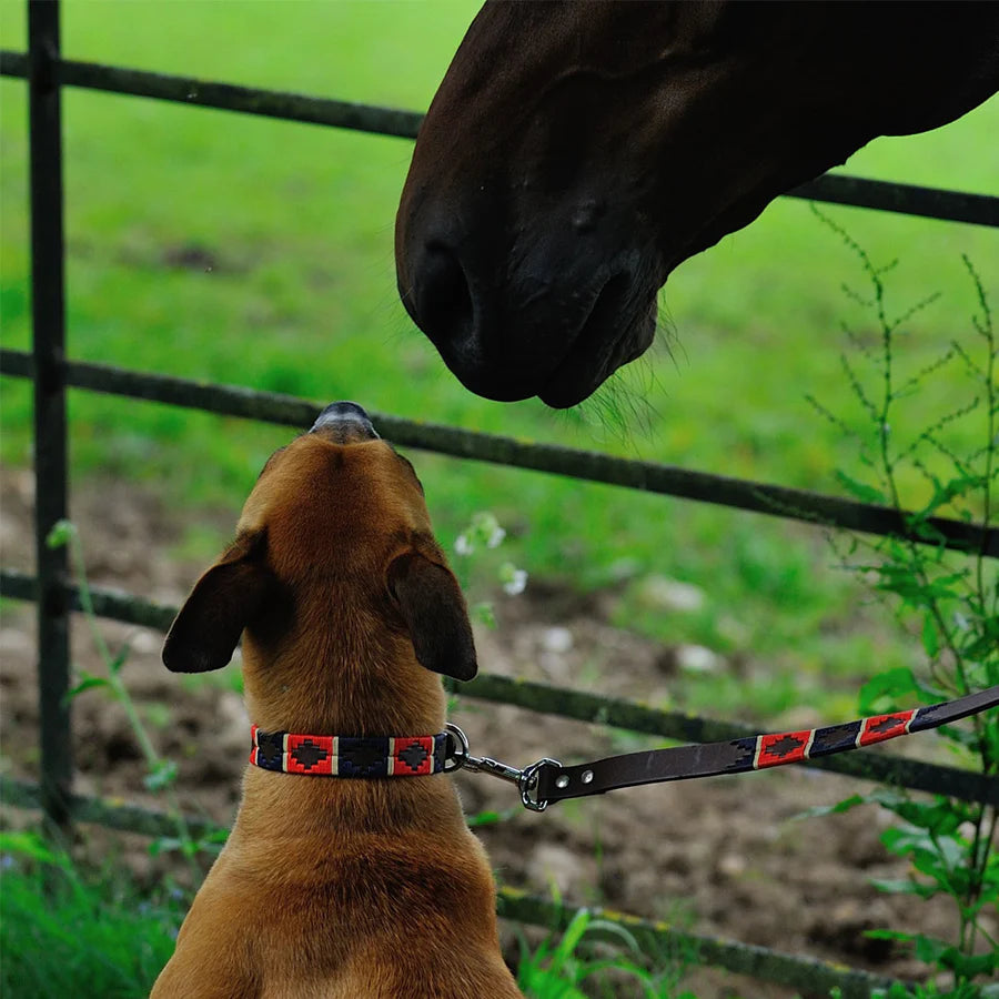 Pioneros Dog Lead - 833 Red/Navy/Cream Stripe