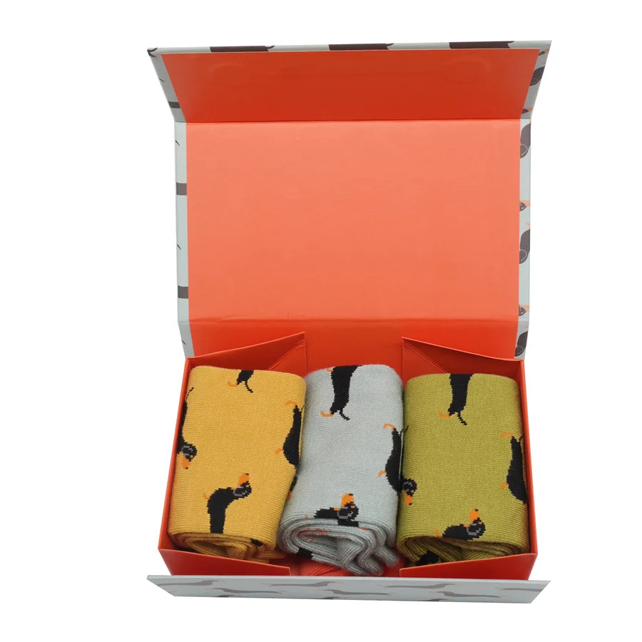 Miss Sparrow Little Sausage Dogs Sock Box