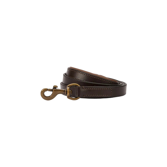 Dog lead