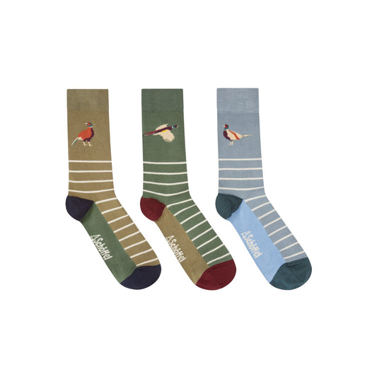 Schoffel Bamboo Sock (Box of 3) Lake Blue Pheasant Mix