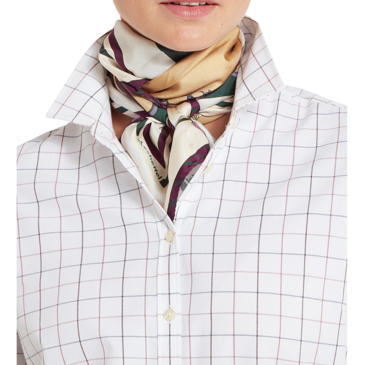 Person wearing a patterned scarf around their neck with a checkered shirt and vest.