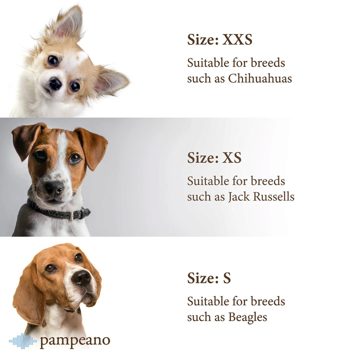 Pampeano Pampa Dog Collar Petalo