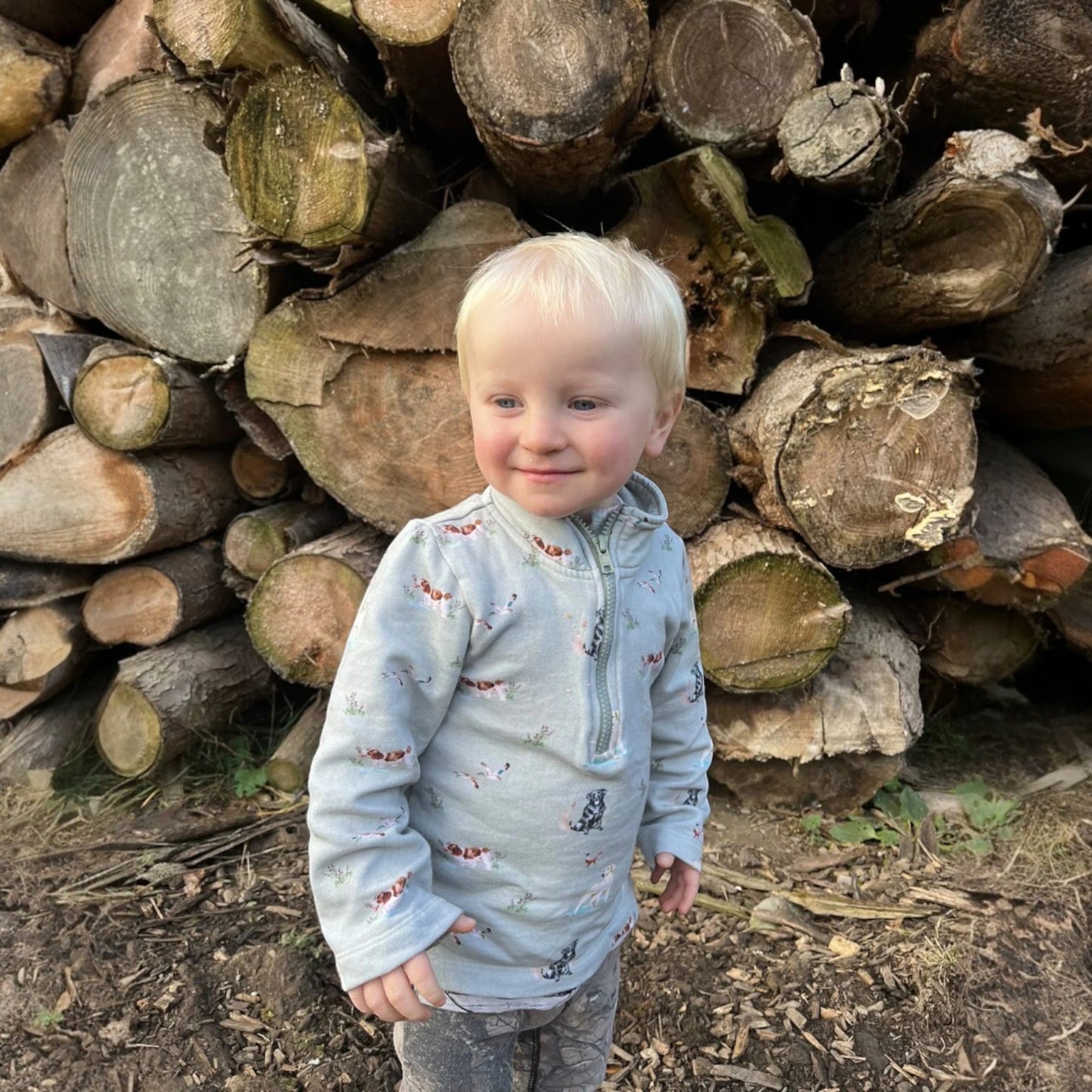 The Little Stamford Co. organic cotton half zip sweatshirt Dog