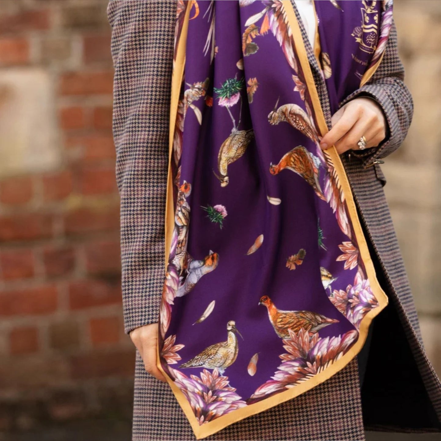 Clare Haggas Grouse Misconduct Aubergine & Gold Classic Silk Scarf